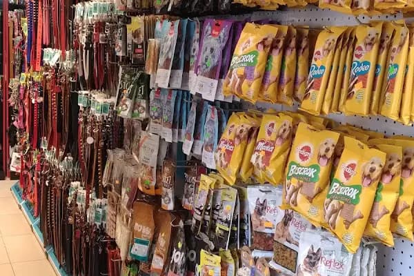 ZOO Pet Shop - Evcil hayvan mağazası - İzmir Bayraklı