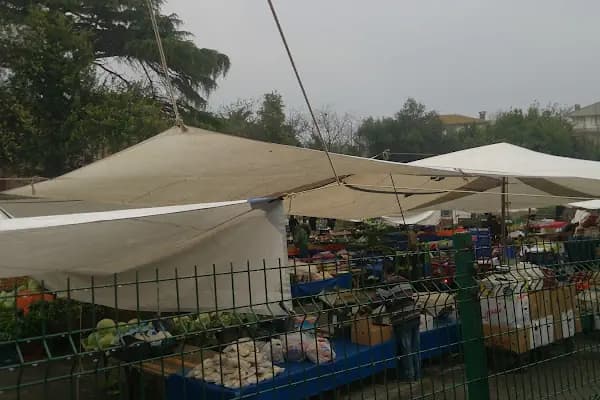 Merkez Halk Pazarı - Bakkal - İstanbul Avcılar