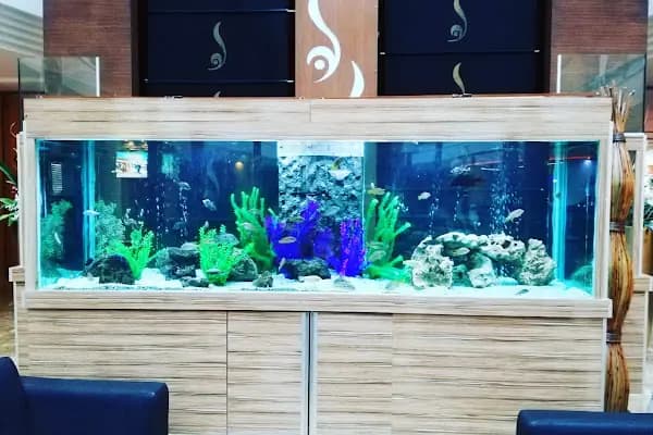 Vatos's Akvaryum Petshop - Evcil hayvan mağazası - Antalya Alanya