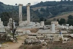 Artemis Plato