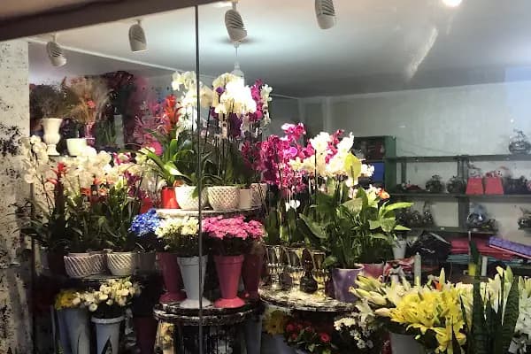 Güneşli Çiçek - Çiçekçi - İstanbul Bağcılar