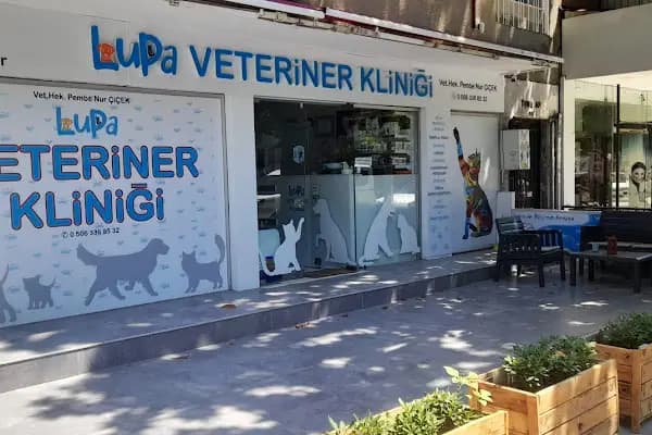 Lupa Veteriner Kliniği - Veteriner - İzmir Karşıyaka