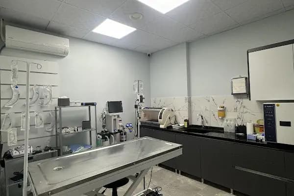 Dr.D Veteriner Kliniği - Veteriner - Manisa Yunusemre