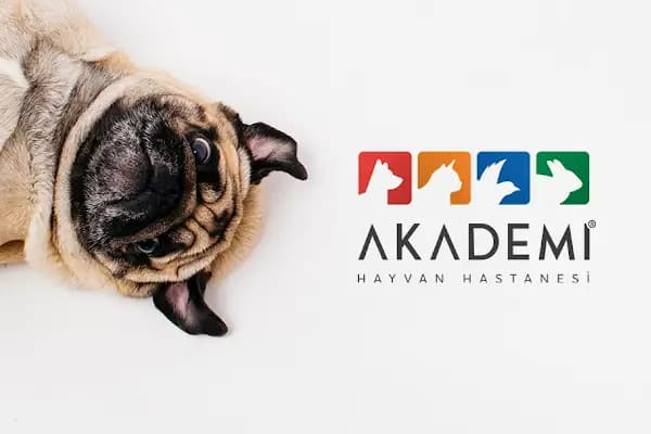 Akademi Hayvan Hastanesi - Acil Durum Veterinerlik Hizmeti - Bursa Gemlik