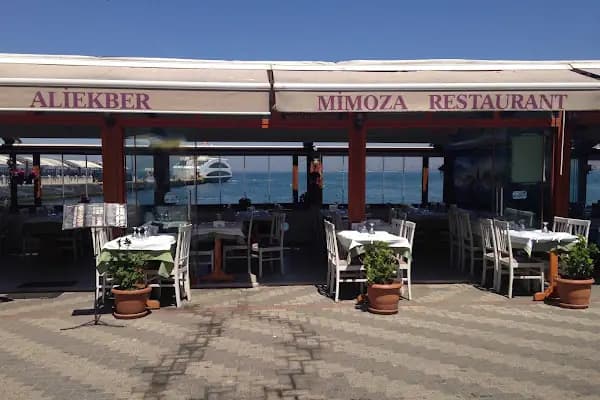 Mimoza Restaurant - Restoran - İstanbul Ataşehir
