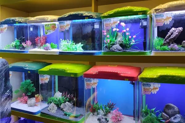 Safari Pet Shop - Evcil hayvan mağazası - Bursa Osmangazi