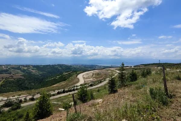 Kocaeli Üniversitesi Genetik - Üniversite - Kocaeli İzmit