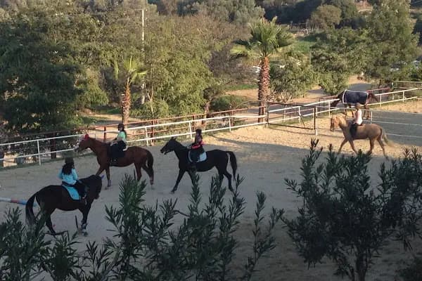 Bodrum Atlı Spor Kulübü - At Safari - Pony Binişi - Binicilik Kulübü - Muğla Bodrum