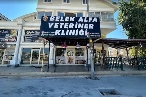 Belek Alfa Veteriner Kliniği - Veteriner - Antalya Serik