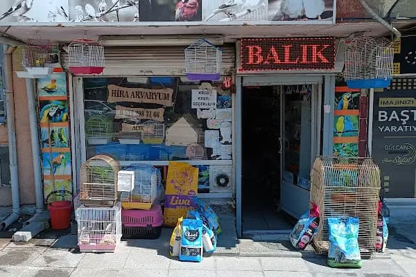 Yılmaz akvaryum &amp; petshop güneşli - Evcil hayvan mağazası - İstanbul Kadıköy