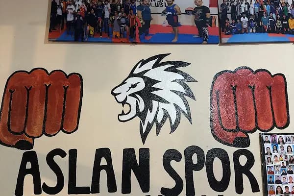 ASLAN SPOR KULÜBÜ - Dövüş Sanatları Kulübü - Adana Karataş