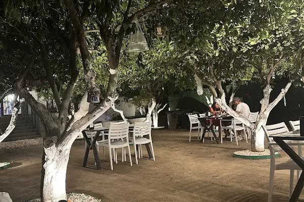 GüneşBalıkRestaurant - Balık Restoranı - Muğla Bodrum