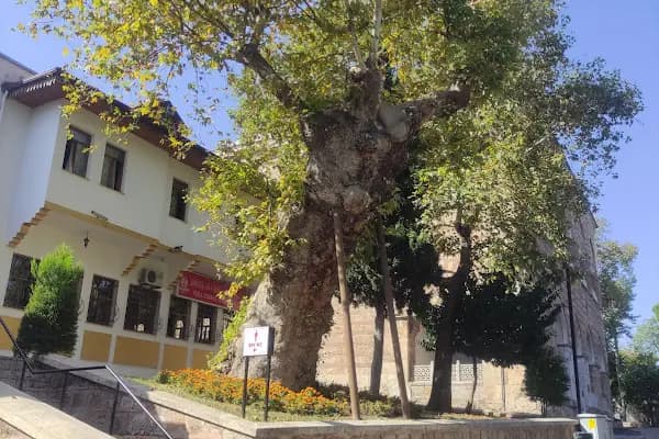 Özhayat Otel - Otel - Bursa Harmancık