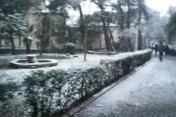 Kütüphane - Kolej - İzmir Buca