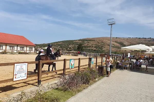 Aliapark Atla Terapi ve Hippoterapi Merkezi - Eğitim Merkezi - İzmir Aliağa