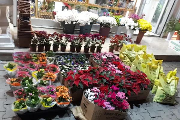 MS Çiçekçilik - Çiçekçi - Gaziantep İslahiye