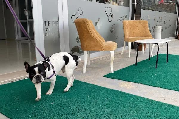 Çerkezköy Tepe Veteriner Kliniği - Veteriner - Tekirdağ Çerkezköy