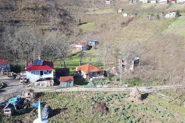 Akkaya Köyü Muhtarlığı - Kurumsal Ofis - Giresun Görele