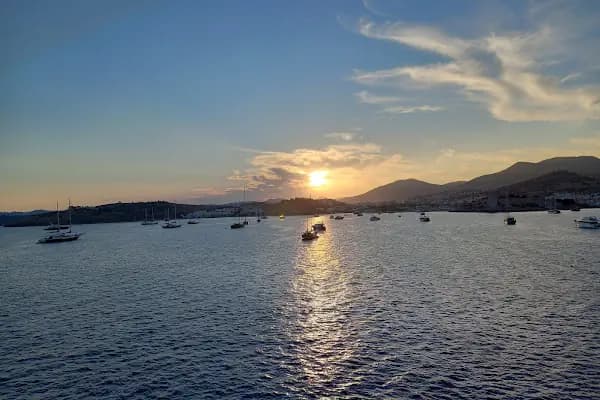 Bodrum Cruise Port - Ulaşım Hizmeti - Muğla Bodrum
