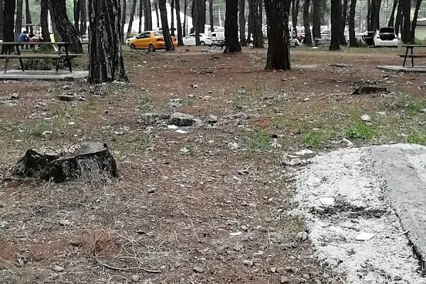 Düzlerçamı piknik alanı - Yürüyüş Alanı - Antalya Alanya