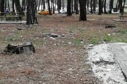 Düzlerçamı piknik alanı