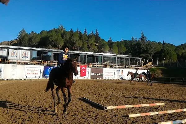 Süvari Binicilik Ve Okçuluk Kulübü - Binicilik Okulu - Adana Sarıçam