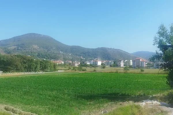 Fizyoterapist Büşra Kaya ÖZEL SAĞLIK HİZMET BİRİMİ - Sağlıklı Yaşam Merkezi - Muğla Dalaman