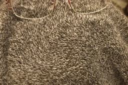 OBA OPTIK