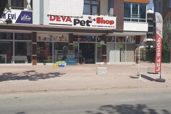 Deva Petshop akvaryum - Evcil hayvan mağazası - Konya Selçuklu