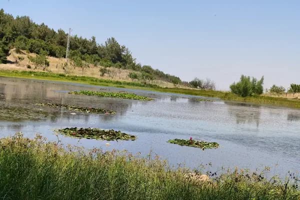 Sülüklü Göl Spil Dağı Milli Parkı - Yürüyüş Alanı - Manisa Demirci