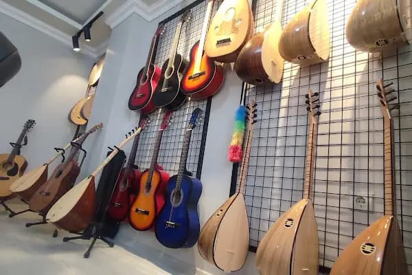 Alaca Müzik Eğitim Merkezi - Müzik Mağazası - Van İpekyolu