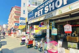 Petshop yılmaz