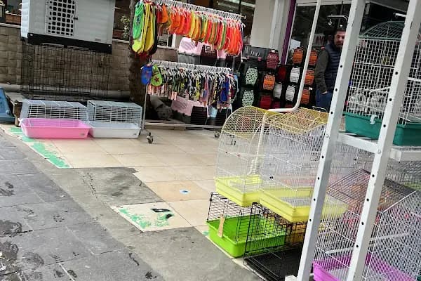 Selanik Pet Shop - Evcil hayvan mağazası - Ankara Altındağ