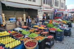 Kanıvar Kömür