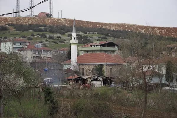 Ahmetli Köyü Cami - Dini Kurum - İstanbul Eyüpsultan