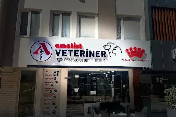 Ametist Veteriner Kliniği - Acil Durum Veterinerlik Hizmeti - Antalya Muratpaşa