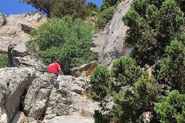 Pozantı İtfaiye Merkezi - İtfaiye İstasyonu - Adana Seyhan