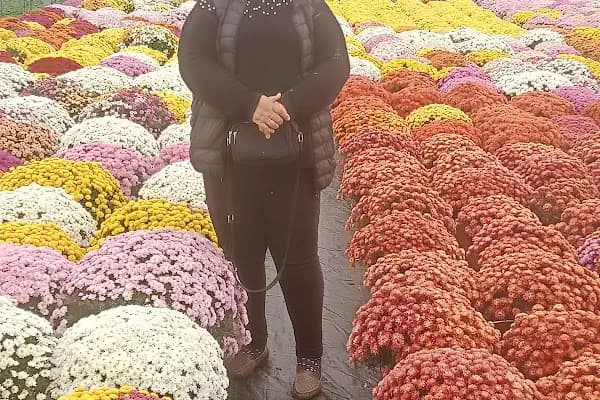 Kozaklı Nur Çiçekçilik - Çiçekçi - İzmir Bergama