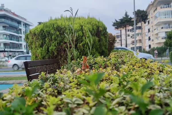 Mavera 4 Konutları - Konut Geliştirme - Antalya Alanya