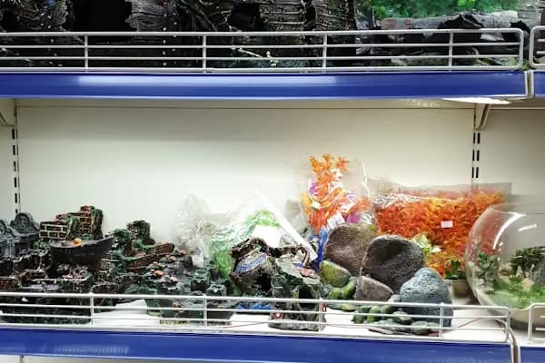Baracuda Pet Shop - Evcil hayvan mağazası - Bursa Gemlik