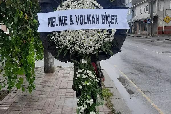 sakaryaya çiçek - Çiçekçi - Sakarya Hendek
