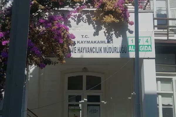 Adalar İlçe Gıda Tarım ve Hayvancılık Müdürlüğü - Kâr Amacı Gütmeyen Kuruluş - İstanbul Bağcılar