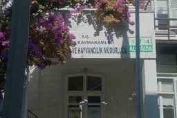 Adalar İlçe Gıda Tarım ve Hayvancılık Müdürlüğü