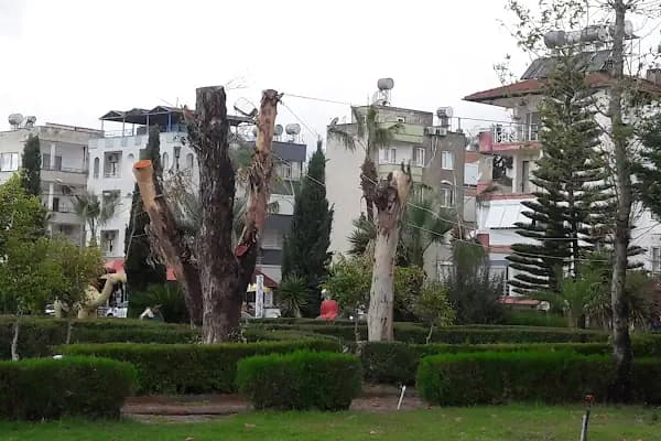 Denizhan Sitesi - Konut Geliştirme - Mersin Aydıncık