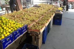 Menteş Gıda Market