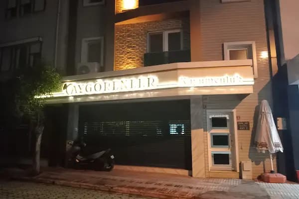 Aygörenler Kuyumculuk - Kuyumcu - Balıkesir Bigadiç
