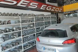 SES EGZOZ PURSAKLAR