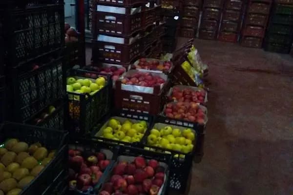 Yaş Sebze Ve Meyve Toptancı Hal Tesisleri - Mağazalar ve Alışveriş - Aydın Bozdoğan