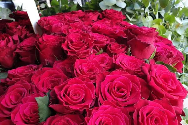 s.s flora çiçek üretim ve pazarlama kooperatifi - Çiçek Toptancısı - İzmir Narlıdere