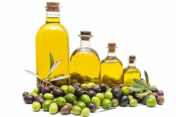 Yaykın zeytin-zeytinyağı fabrikası - Zeytinyağı Üreticisi - Aydın Nazilli